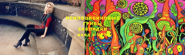 прущая мука Богородск